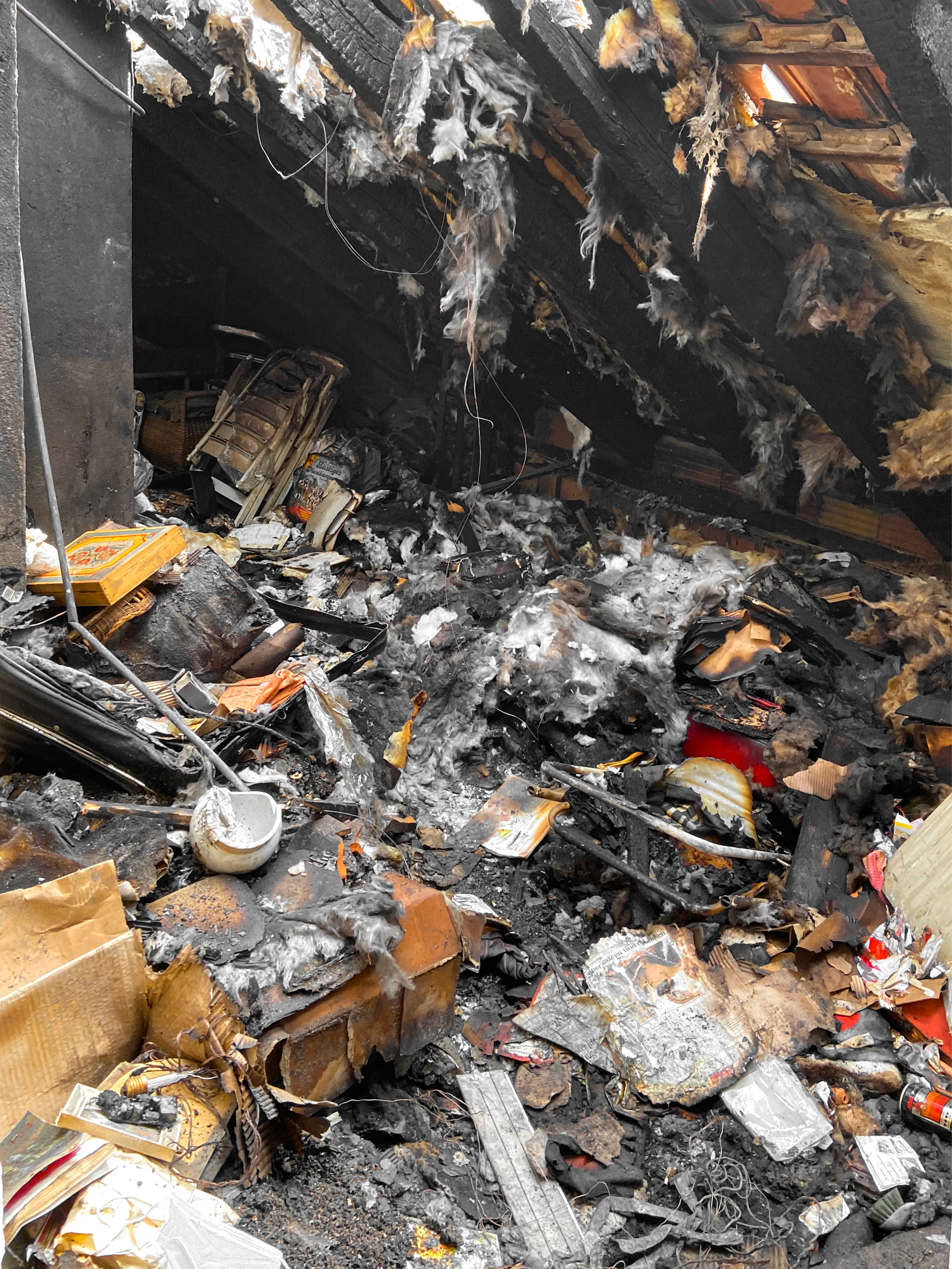 Projekte-Raeumung-NSV-Tottikon-Stans-03