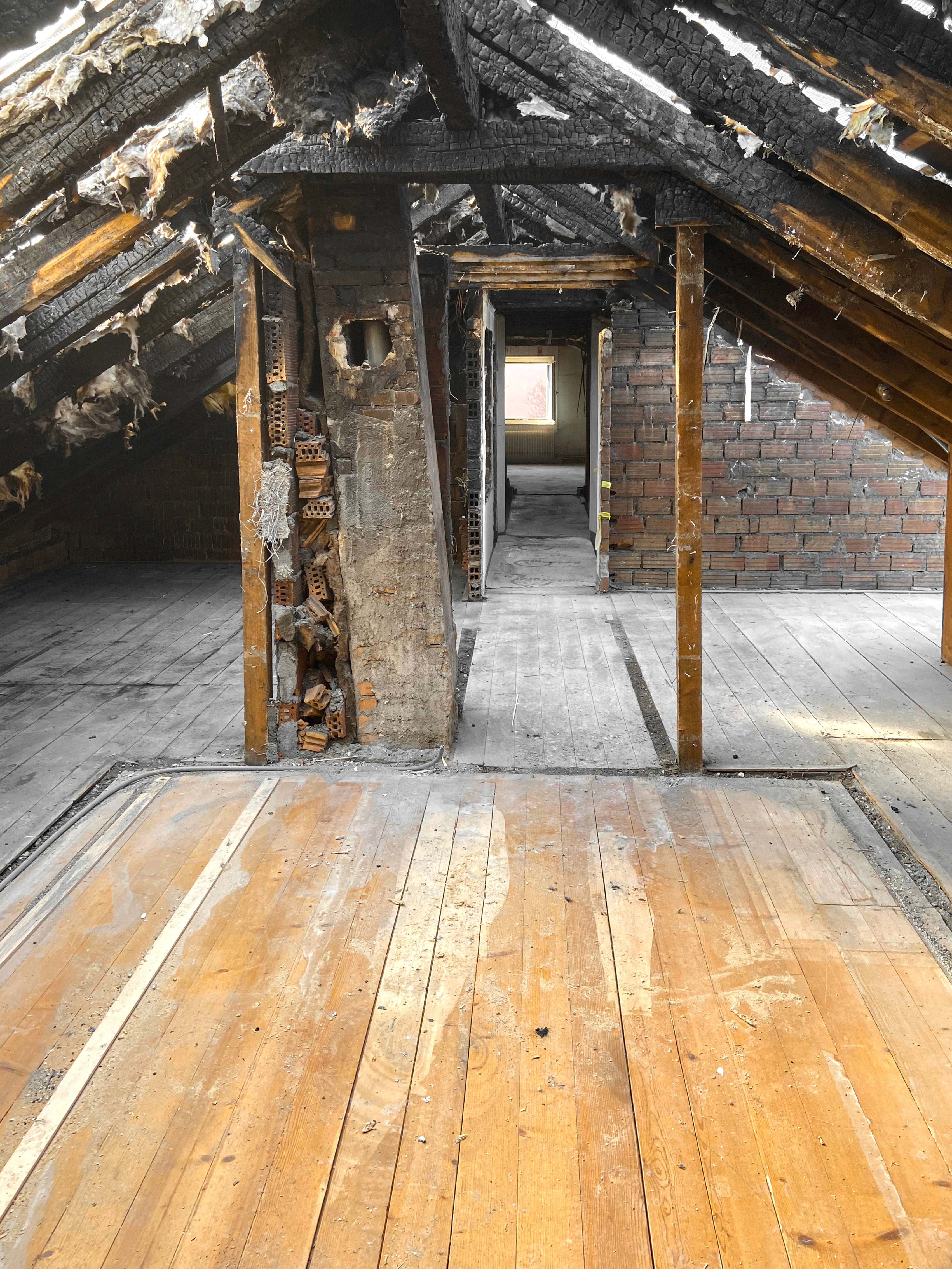 Projekte-Raeumung-NSV-Tottikon-Stans-09