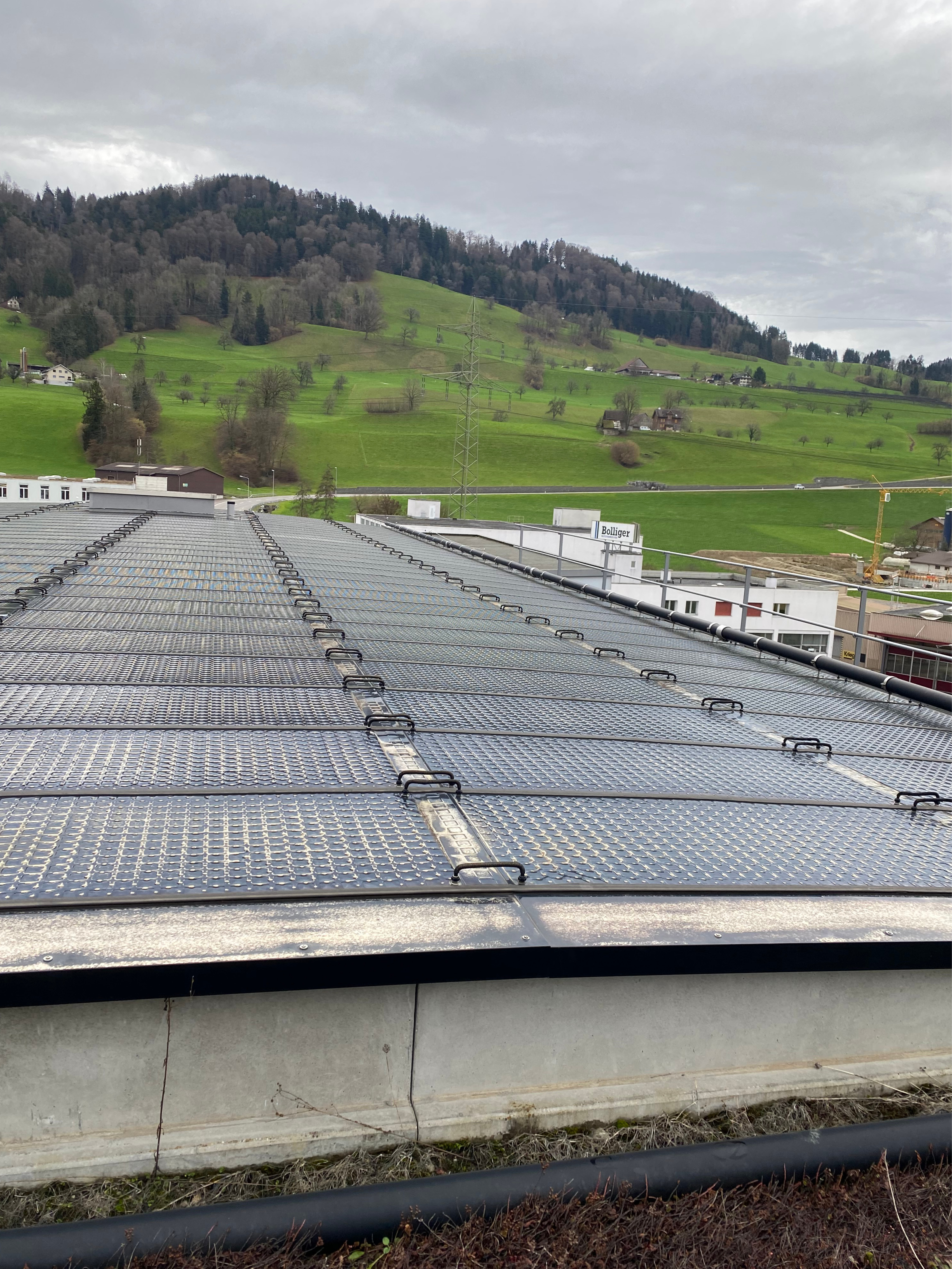 D4 Business Village, Root