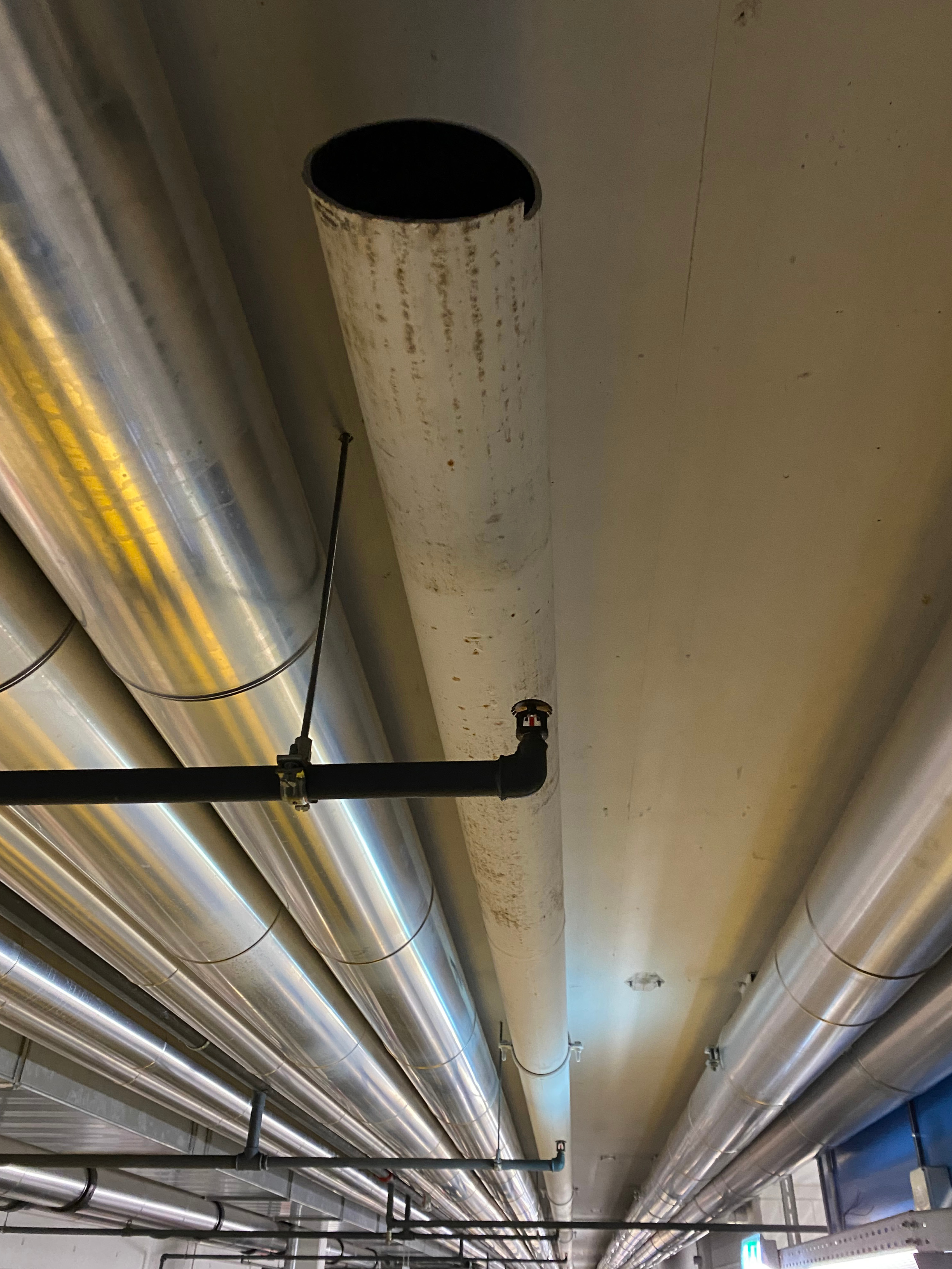 Projekte-Demontage-SUVA-Luzern-D4-Root-05